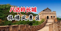 中国产美女逼中国北京-八达岭长城旅游风景区